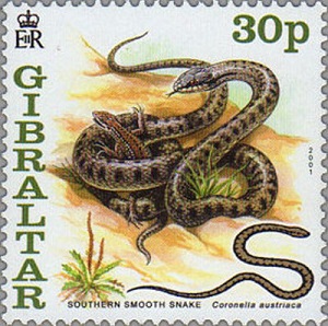 Gibraltar 2001