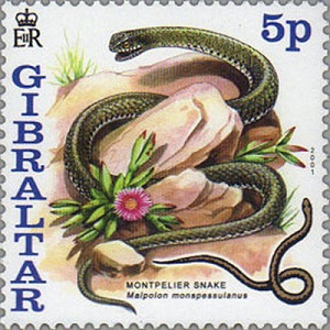Gibraltar 2001