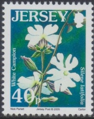 Джерси - Jersey (2005)