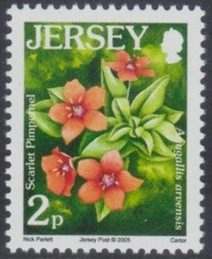 Jersey 2005