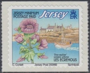 Джерси - Jersey 2006