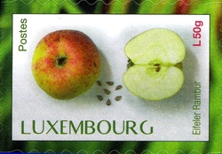 Luxemburg 2015