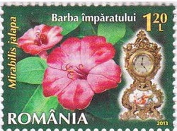 Румыния - Romania 2013