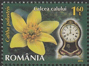 Romania 2013