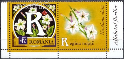 Румыния - Romania 2015