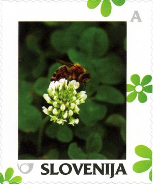 Словения - Slovenia 2014