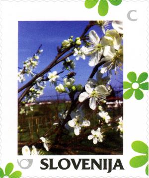 Slovenia 2014