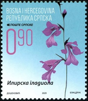 Босния и Герцеговина - Bosnia and Herzegovina (2020)
