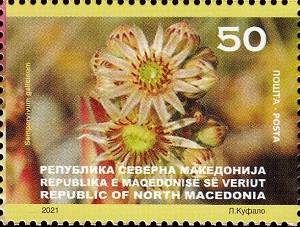 Macedonia 2021