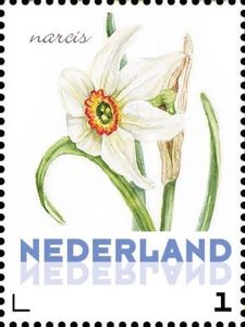 Нидерланды - Netherlands (2014)