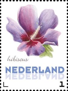 Нидерланды - Netherlands 2014