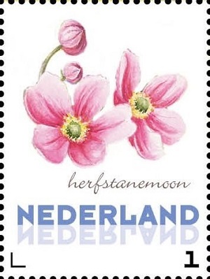Нидерланды - Netherlands 2008