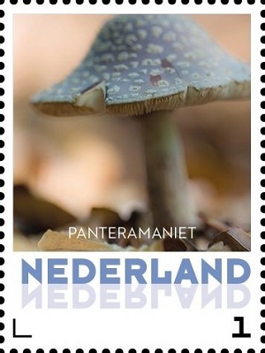 Нидерланды - Netherlands (2015)