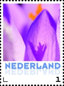 Нидерланды - Netherlands (2016)