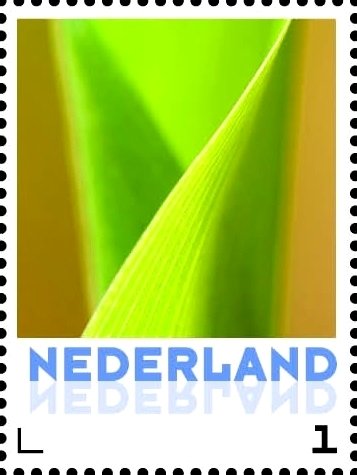 Нидерланды - Netherlands (2016) 