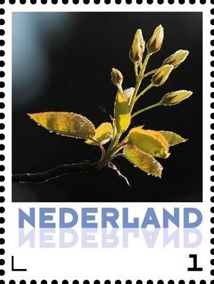 Нидерланды - Netherlands 2016
