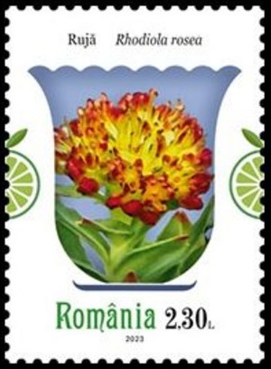 Румыния - Romania (2023)