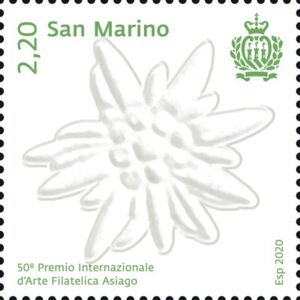 Сан-Марино - San Marino (Leontopodium sp. - 2021)