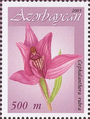 Aerbaijan 2005
