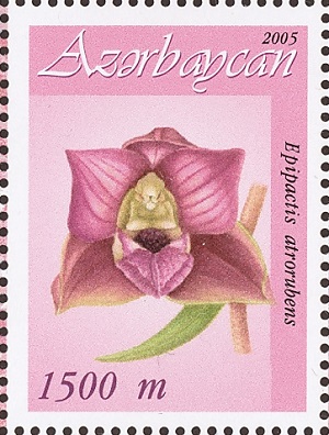 Azerbaijan 2005