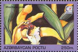 Азербайджан - Azerbaijan (1995)