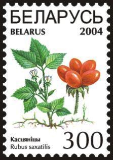 Belarus 2004