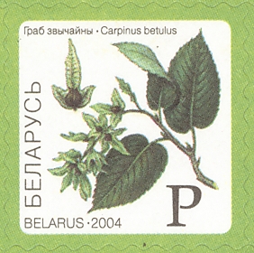 Belarus 2004