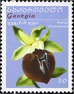 Georgia 2005