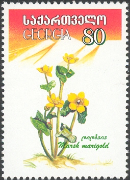 Georgia 2002
