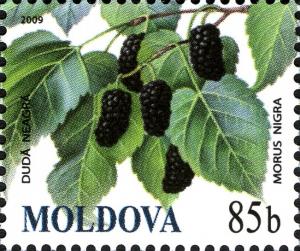 Moldova 2009