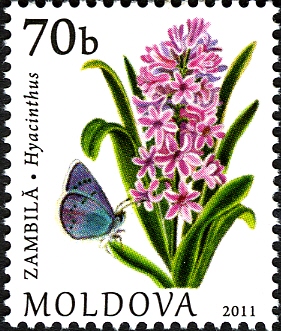 Moldova 2011