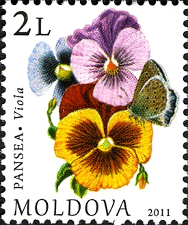 Молдавия - Moldova 2011