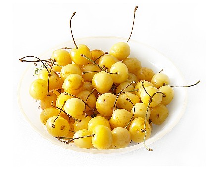 Cerasus (Prunus) avium
