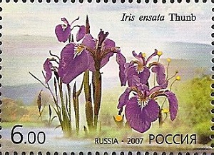 Russia 2007