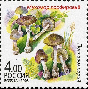 Russia 2003