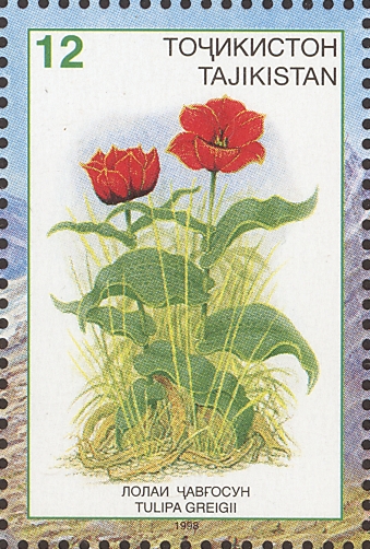 Таджикистан - Tadjikistan (1998)