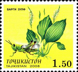 Таджикистан - Tadjikistan (2008)