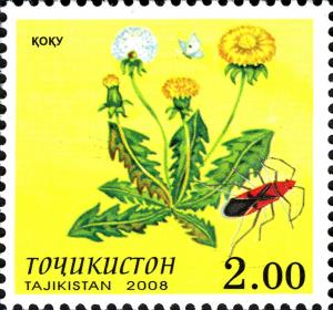 Tadjikistan 2008