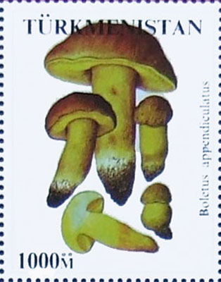 Tukmenistan 2000
