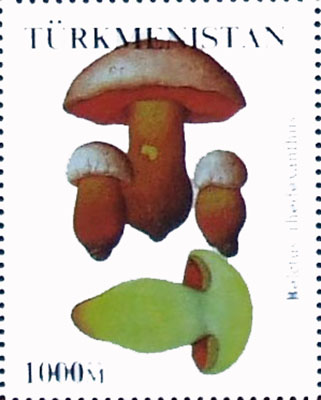 Turkmenistan 2000