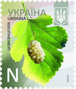 Украина - Ukraina 2013