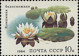 CCCP - USSR (1984)