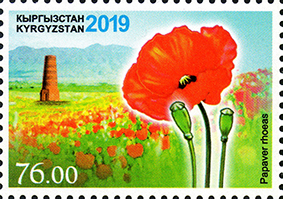 Kyrgyzstan 2019