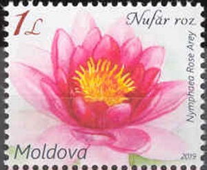 Moldova 2019