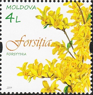 Moldova 2019