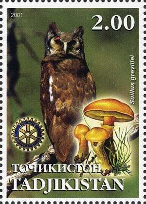 Tadjikistan 2001