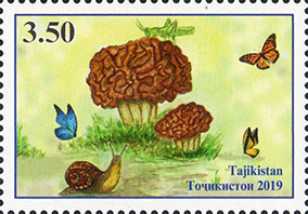 Таджикистан - Tadjikistan (2019)