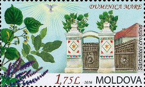 Молдавия - Moldova (Tilia sp. - 2016)