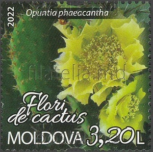 Молдавия - Moldova (2022) 