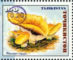 Таджикистан - Tadjikistan (2018)